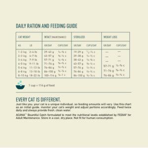 Picture of bountiful catch cat food feeding guidelines