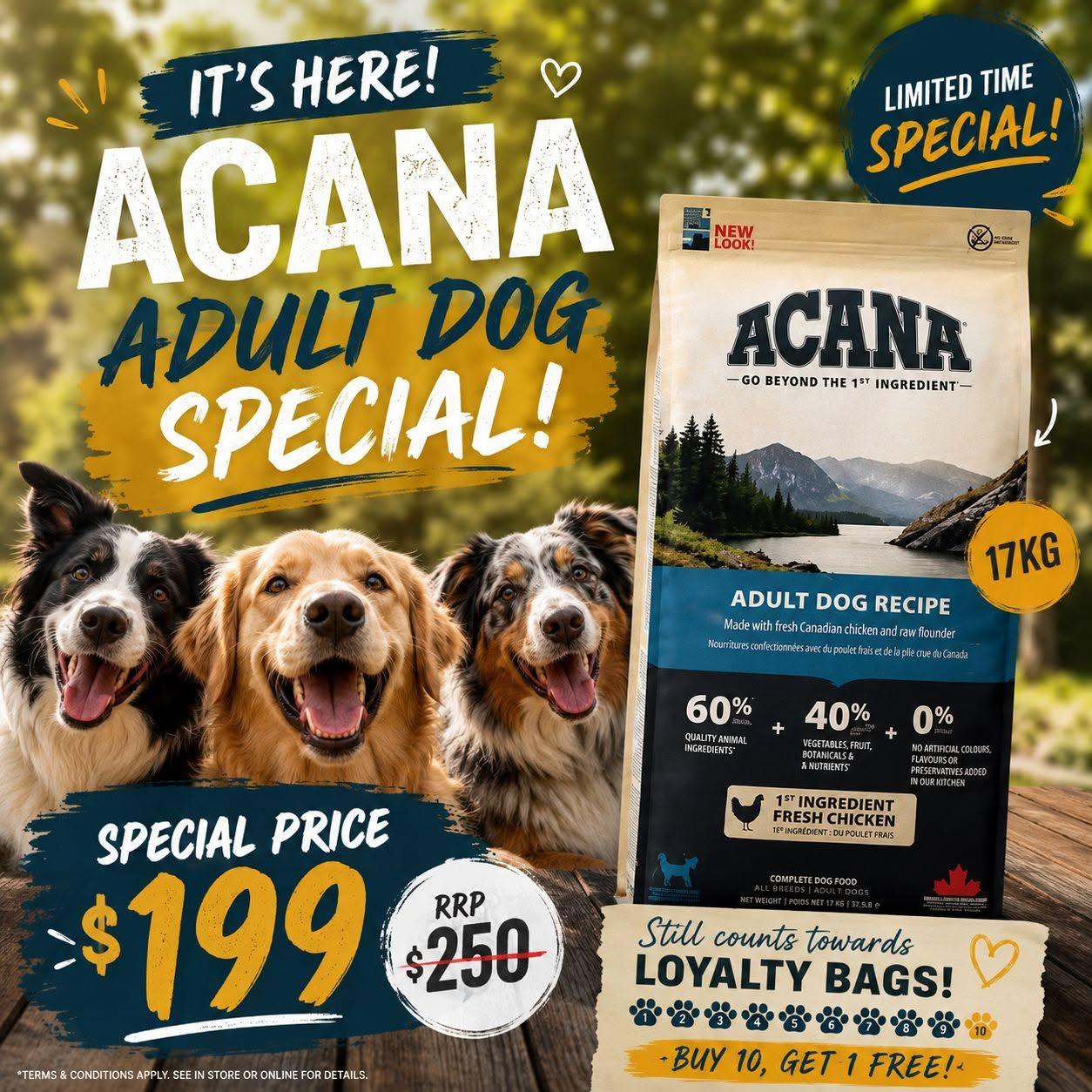 poster advertising adult dog 17kg bag special price